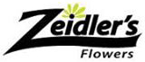 Zeidler's logo web
